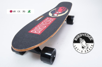 BIRDYEDGE 聖母可拆卸電動滑板 LD01 電動滑板車 手提 USB　行動電源　全台灣首發設計　雙驅動極限版