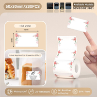 NIIMBOT B21/B1/B3S Cute Sickers Label Paper Name Sticker Books Stationery Waterproof Self Cartoon