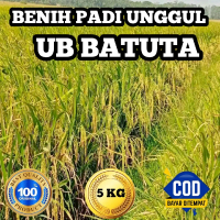 BENIH BIBIT PADI UNGGUL UB BATUTA BERKUALITAS ORIGINAL KEMASAN 5KG