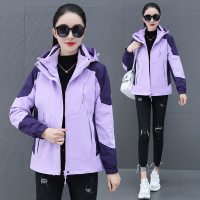 啄木鳥沖鋒衣三合一女春秋季2024新款時尚百搭防風防雨戶外登山服--享樂