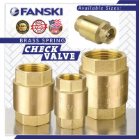 Comfortable One Way Valve Spring Valve Check Valve Non Return Valve Brass Valve Spring Injap Spring