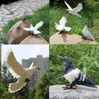 仿真鴿子擺件白鴿道具飛翔鴿婚慶裝飾美陳動物模型羽毛鳥標本現代