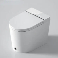 Sanitary Wares Bathroom Wc Automatic Electronic Bidet Intelligent Smart Toilet