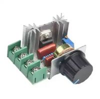 Dimmer AC 220V 2000 Watt