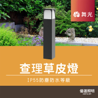 【DanceLight 舞光】LED 查理草皮燈｜2年保固｜授權經銷商｜ IP55防塵防水等級(E-3206-50公分高)