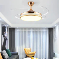 Modern Minimalist Style Chandelier Fan Light 42 Inch Black Retractable Hot Selling Ceiling Fan with Light matel Motor Fan lamp