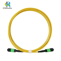 3meters 40G Fiber Optic Jumper Cable MTP MPO to MPO-8LC 12LC 24LC 24 Core 12 Core 8 Core Single Mode MPO Fiber Optic Patch Cord