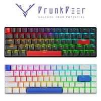 DrunkDeer G65 Magnetic Switch Gaming Keyboard Quick Trigger TKL Compact Mechanical Wired Keyboard RGB Backlit
