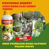 Pestisida Ulat Buah Alpukat BIOWASIL Pembasmi Hama Ulat Alpukat, Jagung, Cabe, Timun, Tomat SAMPE TU