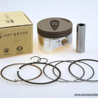 Yimatzu Motorcycle Engine parts-Piston Kit for LIFAN LF250CC 67mm