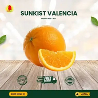 SUNKIST VALENCIA TERMURAH - SUKABUAH