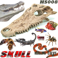 TENGKORAK BUAYA CROCODILE HS008 HIDING CAVE SKULL SKELETON REPTILE BD