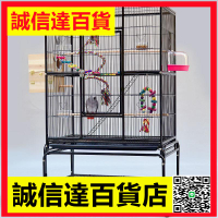 新款方型鐵藝群鳥籠 虎皮牡丹鸚鵡籠鳥籠灰鸚鵡繁殖籠A421