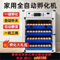 【台灣公司 可開發票】孵化器孵化機全自動小雞家用孵蛋器孵蛋機孵小雞機器孵化箱中大型