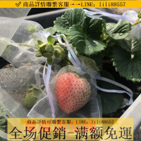 防鳥網~草莓防蟲網防鳥袋果實藍莓番茄可收縮防蟲袋透光草莓套袋網保護袋
