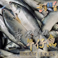【一手鮮貨】台灣鮮嫩午仔魚(4尾組/單尾殺清前400g/三去處理/真空包裝)
