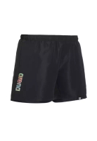 ARENA arena  男士泳裝  經典LOGO沙灘褲