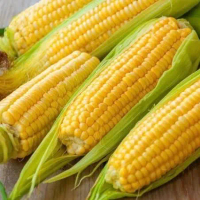 JAGUNG MANIS V.I.P  CAMERON FRESH ISI PADAT