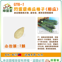 【綠藝家】G78-1.閃靈夏南瓜種子1顆(櫛瓜) F1 植株生長勢強健，本品種耐病力強、雌性佳
