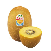 【水果達人】紐西蘭Zespri 特大顆黃金奇異果18-22顆1箱 (3.3kg/箱_原封箱)