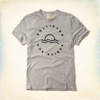 美國百分百【Hollister Co.】T恤 HCO 短袖 T-shirt 海鷗 圓領 灰 海浪 L號 F350