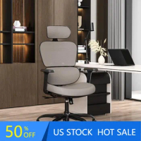 Ergonomic Office Chair - Mesh Office Chair High Back, Rolling Desk Chair, Executive Swivel Chair