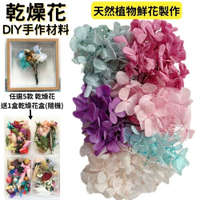 【A-ONE】木繡球花 乾燥花材料包 畢業禮物 永生花 浮油花 DIY乾燥花藝教學 自然乾燥花 乾燥花材料禮盒 A26