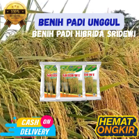 Sridewi Benih Padi Unggul Kemasan 10kg - Benih Padi Hibrida Sridewi Hemat Ongkir