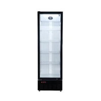 Made China Superior Quality Small Commercial Upright Freezer