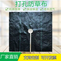 切片防草布打孔防草布除草布抗老化防草布透氣透水園林地布