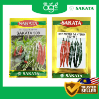 【hot】 AgroBuddy Sakata 508 [5gm] Sakata 461 [10gm] Benih Cili Padi Cili Kulai Fertigasi | Hot Pepper