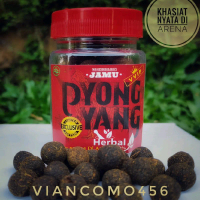 JAMU AYAM SIAP LAGA, OBAT AYAM TELO, SAKIT KUNING