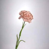 【Floral M】手感保濕康乃馨裸奶茶仿真花材（2入組）(人造花/塑膠花/假花/裝飾花)