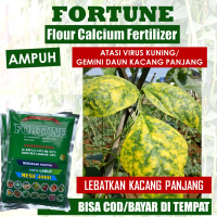 PUPUK TEPUNG FORTUNE 1 KG PUPUK DAUN KUNING KACANG PANJANG Cabe, Jagung Busuk Akar, Batang dan Buah 