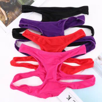 Mesh Bikini Briefs Underwear Lingerie Panties Thongs