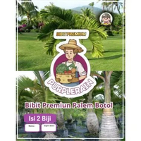 Bibit Premium Pohon Palem Botol | Biji Benih Palem Botol