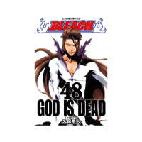 BLEACH死神４８