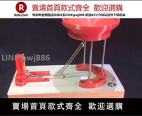 【公司貨優質服務】循環跳球永動機演示模型 手工科技制作桌面擺件 電磁動力解壓玩具