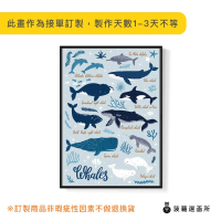 【菠蘿選畫所】淘氣鯨豚圖鑑 - 30x40cm(海底世界/客廳裝飾掛畫/玄關掛畫/房間裝飾)