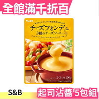 【5包組】日本 S&amp;B 超濃厚起司沾醬 250g x5包 中秋烤肉 火鍋 沙拉 皆可用【小福部屋】