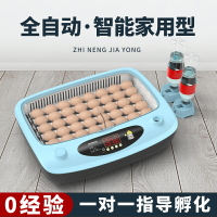 【臺灣公司優質服務】孵蛋器孵小雞的水床蘆丁雞孵化器小型家用型孵化蛋孵化箱孵化機