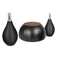 MICROLAB BOTTLEWINE 6WX2+24W BT4.0 LED 藍牙 2.1 音箱 黑色 (V000)