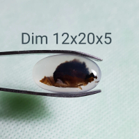 Batu gambar kura kura asli alami batu cicin