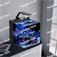 Ultra Clear Glass Mini Salt Water Marine Aquarium Fish Tank for Marine