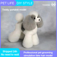 Yijiang Poodle Simulation Hair Pet Teacher Beauty Modeling Practice Dog Model Standard Skeleton Model Dog Whole Body Fake Hair