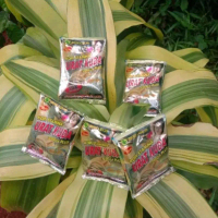 Kopi Urat Kuda Serbuk Sachet Herb4l