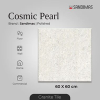 Granit Tiles Cosmic Pearl PS 60x60 Sandimas