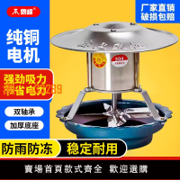 【保固兩年】家用煙囪引風機煙筒抽風機純銅大功率農村強力排煙機防倒煙耐高溫