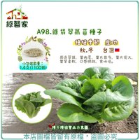 【綠藝家】 A98.綠翡翠萵苣種子1.4克(1100顆)