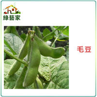 【綠藝家】E09.毛豆(隨季節替換)種子50顆